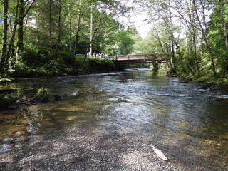 Filename=DSCN6108.JPG
Filesize=7284KiB
Dimensions=4608x3456
Date added=Aug 30, 2025 DSCN6108.JPG
