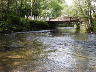 Filename=DSCN6109.JPG
Filesize=7293KiB
Dimensions=4608x3456
Date added=Aug 30, 2025 DSCN6109.JPG